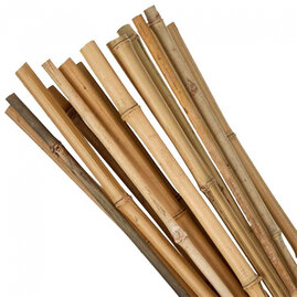 Tyč Garden KBT 0750/06-08 mm, bambus
