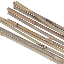 Tyč Garden KBT 1200/12-14mm, bambus, opěrná k rostlinám