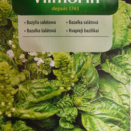 Vilmorin CLASSIC Bazalka salátová 1 g