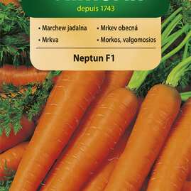 Vilmorin CLASSIC Mrkev NEPTUN F1 středně pozdní 2 g