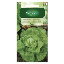 Vilmorin CLASSIC Salát hlávkový APPIA středně pozdní 0,5 g