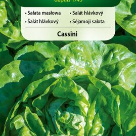 Vilmorin CLASSIC Salát listový CASSINI časný 0,5 g