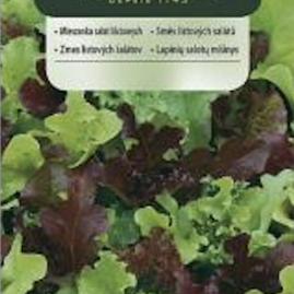 Vilmorin CLASSIC Směs listových salátů Sladký Mesclun 0,5 g