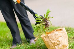 Odburinenie trávnika - údržba záhrady